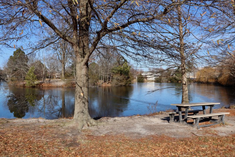 This area of Blockhouse Pond shows an example of eroded soil caused by foot traffic, typically people fishing or using the picnic tables. Lewes Mayor and City Council voted unanimously Jan. 12 to allocate $17,000 to begin addressing the problem. BILL SHULL PHOTO
